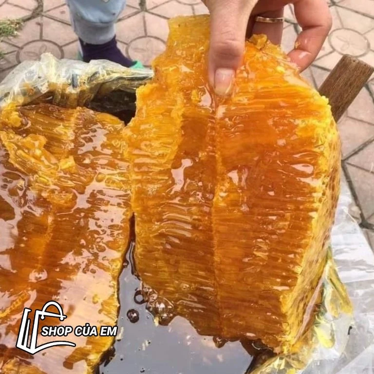 MẬT ONG TREO NGỌN CÂY CỔ THỤ NGỌC LINH - BẢN GIỚI HẠN SIÊU HIẾM, CHẤT MẬT GIÀ ĐẶC QUÁNH