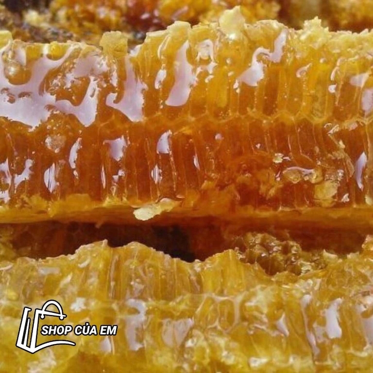 MẬT ONG TREO NGỌN CÂY CỔ THỤ NGỌC LINH - BẢN GIỚI HẠN SIÊU HIẾM, CHẤT MẬT GIÀ ĐẶC QUÁNH